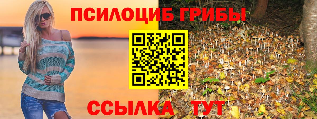 Галлюциногенные грибы Psilocybine cubensis  Вход с VPN  Галлюциногенные грибы мицелий  Лысьва 