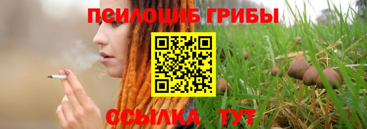 Псилоцибиновые грибы ЛСД Лысьва